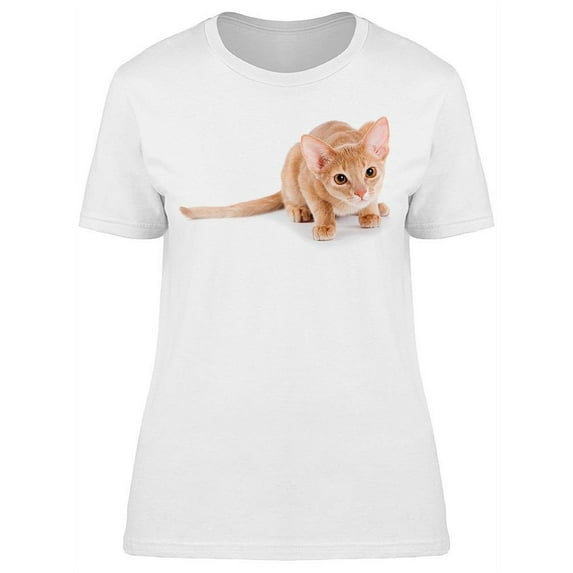 Amazing Abyssinian Cat T-Shirt Women -Image by Shutterstock, Female XX-Large