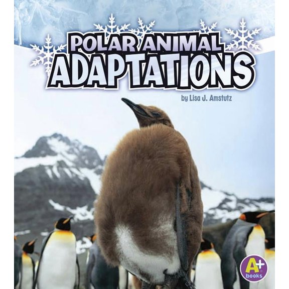 Amazing Animal Adaptations Polar Animal Adaptations, (Paperback)