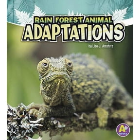 Amazing Animal Adaptations Rain Forest Animal Adaptations, (Paperback)