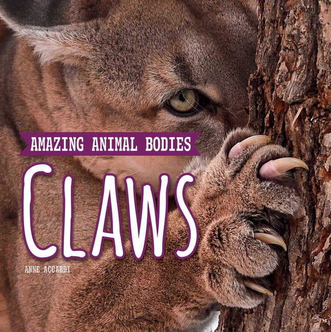 Amazing Animal Bodies Claws, (Paperback)