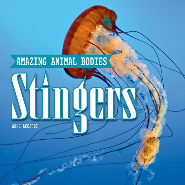 Amazing Animal Bodies Stingers, (Paperback)
