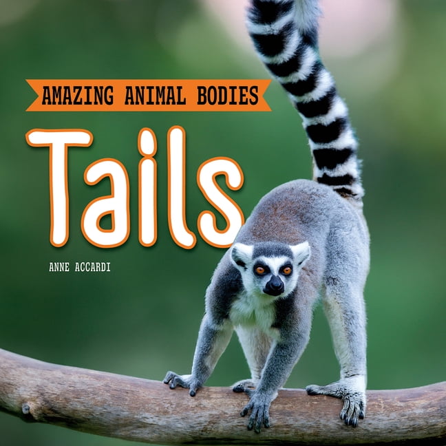 Amazing Animal Bodies Tails, (Hardcover)