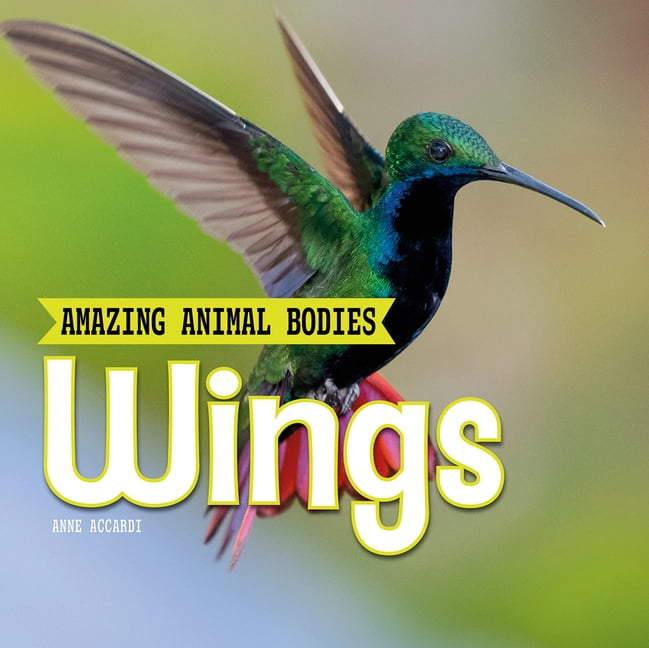 Amazing Animal Bodies Wings, (Paperback)