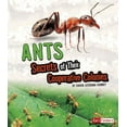 thumbnail image 1 of Amazing Animal Colonies: Ants: Secrets of Their Cooperative Colonies (Hardcover), 1 of 1