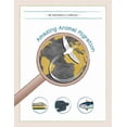 thumbnail image 1 of Amazing Animal Migrations, (Paperback), 1 of 1