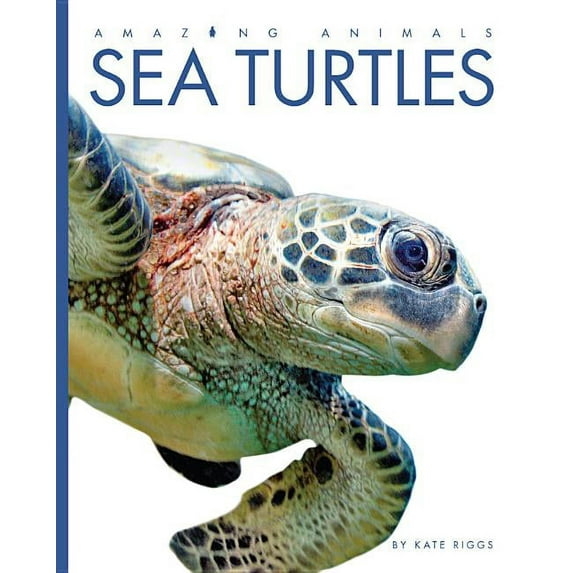 Amazing Animals: Amazing Animals: Sea Turtles (Paperback)
