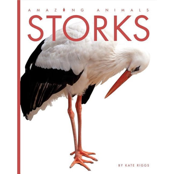 Amazing Animals: Amazing Animals: Storks (Paperback)