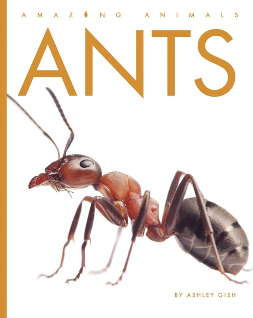 Amazing Animals Ants, (Paperback)