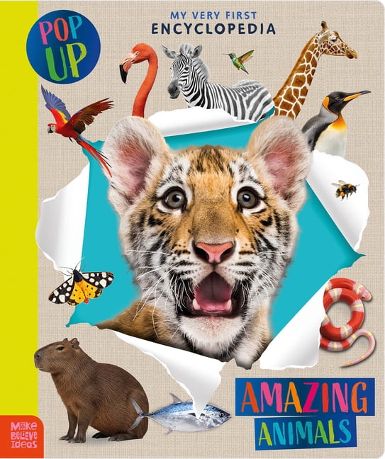 Amazing Animals, (Board Book)
