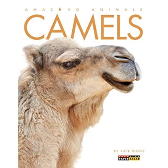 Pre-Owned Camels (Paperback) 0898129257 9780898129250