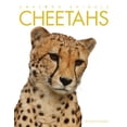 thumbnail image 1 of Pre-Owned Amazing Animals: Cheetahs (Paperback) 0898125618 9780898125610, 1 of 1