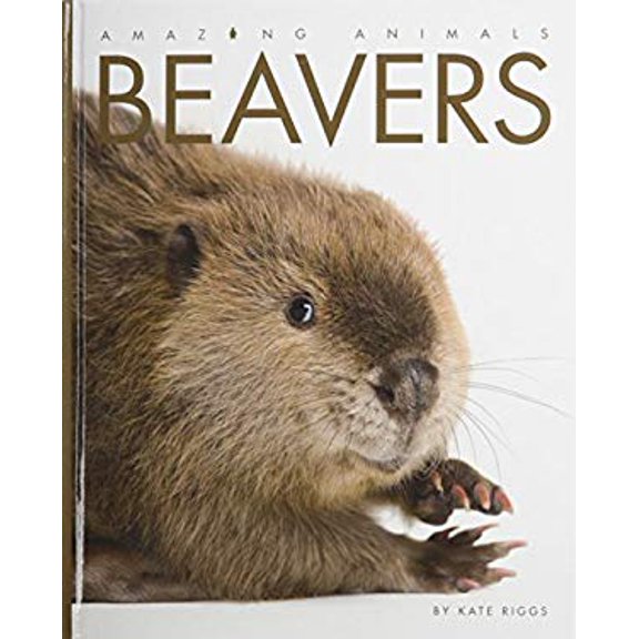 Pre-Owned Amazing Animals Beavers (Library Binding) 1608184862 9781608184866