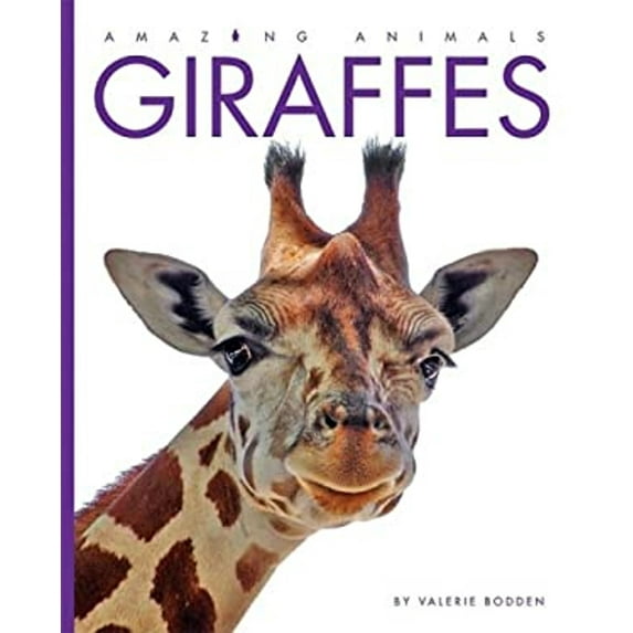 Pre-Owned Giraffes (Hardcover) 1583417141 9781583417140