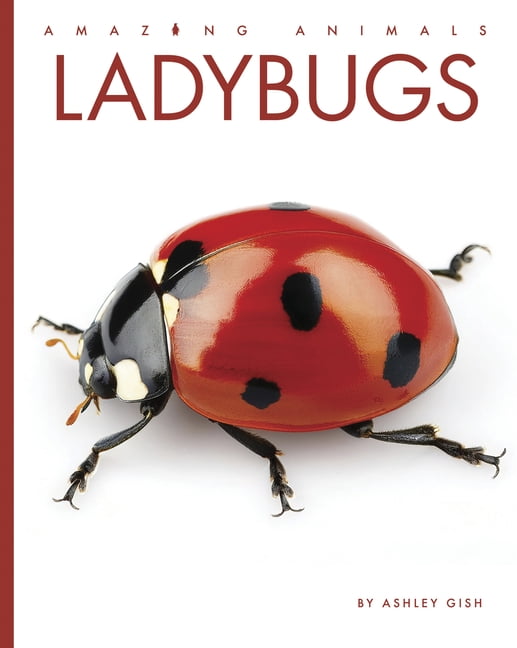 Amazing Animals Ladybugs, (Hardcover)