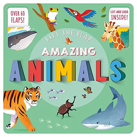 Pre-Owned Amazing Animals: Lift-The-Flap Fact Book (Board book) 1839036524 9781839036521