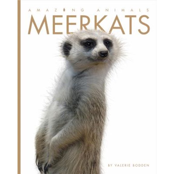 Pre-Owned Amazing Animals: Meerkats (Paperback) 9781628323641