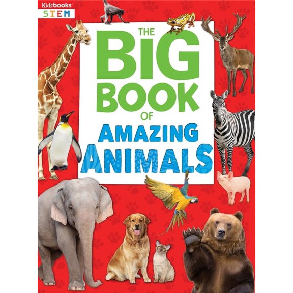 Amazing Animals (Paperback)
