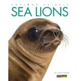 thumbnail image 1 of Pre-Owned Amazing Animals: Sea Lions Paperback, 1 of 1