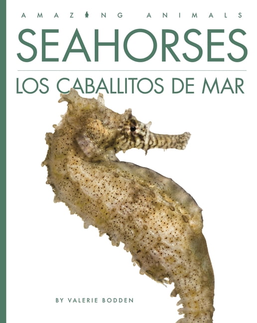 Amazing Animals Seahorses / Los Caballitos de Mar, (Paperback)