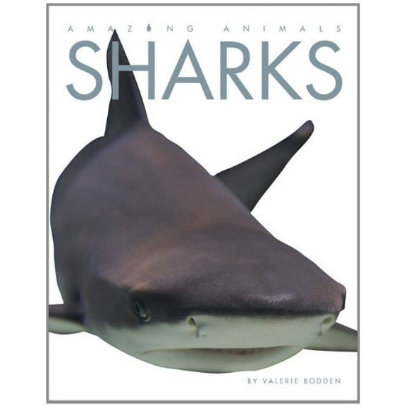 Pre-Owned Sharks (Paperback) 0898127440 9780898127447
