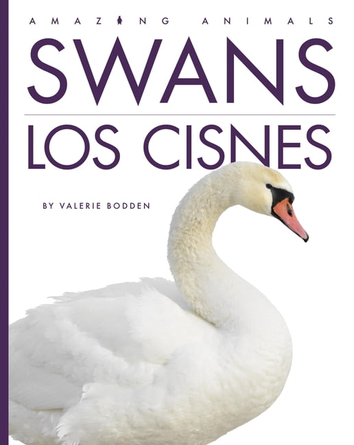 Amazing Animals Swans / Los Cisnes, (Paperback)
