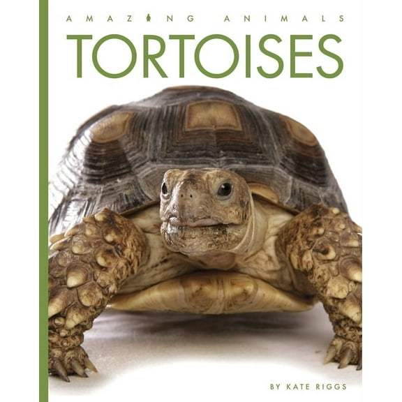 Amazing Animals Tortoises, (Paperback)