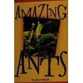 thumbnail image 1 of Pre-Owned Amazing Ants (Leveled Reader 134a) 9780673625816, 1 of 1
