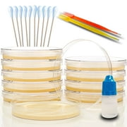 Amazing Bacteria Science Kit - Prepoured Agar Plates Kit - Science Project Kit - Outstanding Performance - Science Project Experiment Ebook Included - Have Fun Learning Microbiology Now