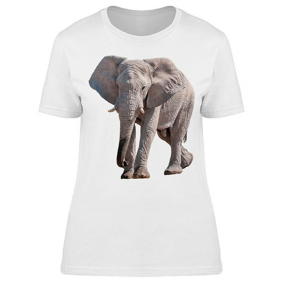 Amazing Big-eared Elephant T-Shirt Women -Image by Shutterstock, Female Medium