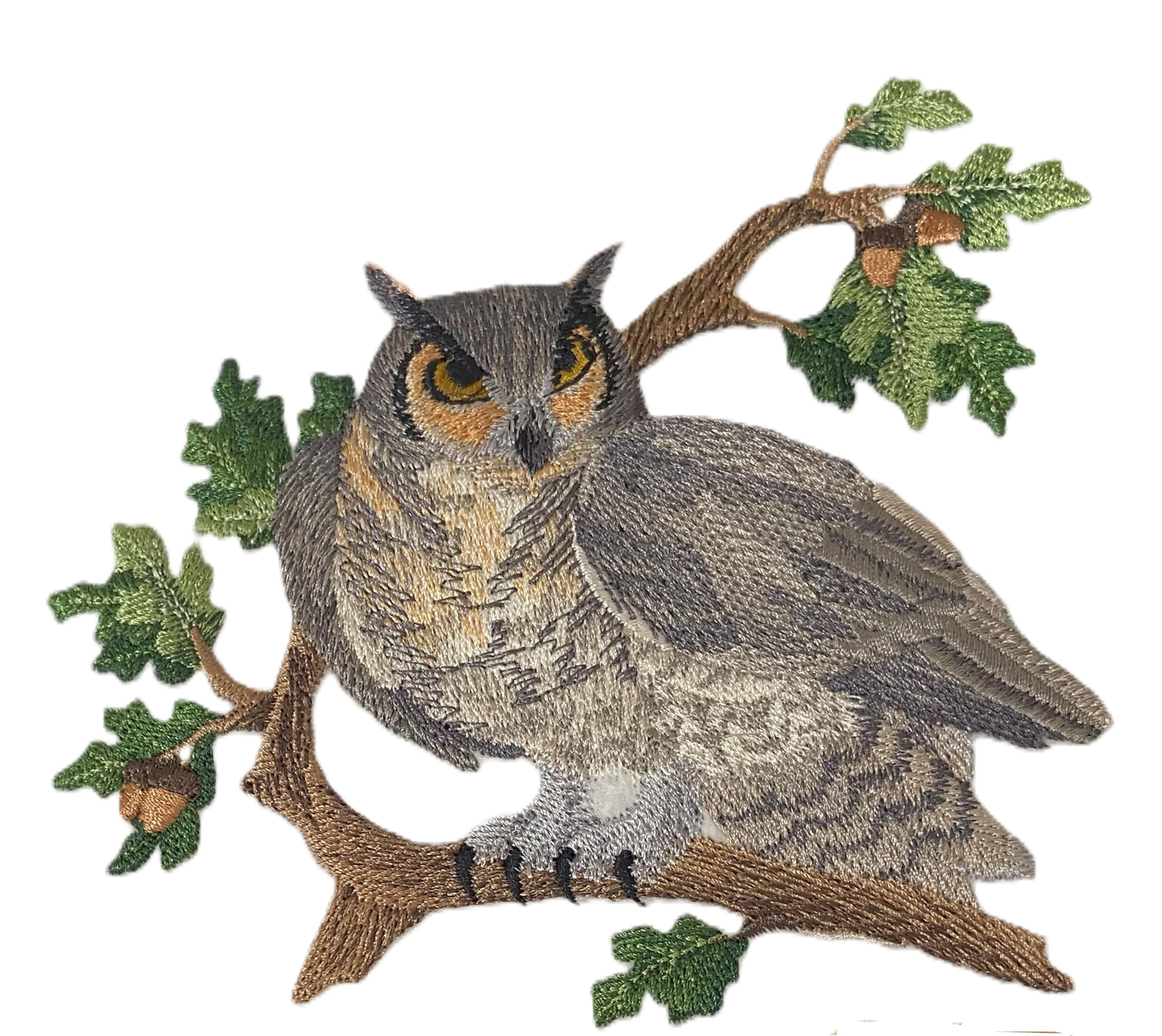 Amazing Birds Kingdom [Owl ] [Custom and Unique] Embroidered Iron on/Sew Patch (5.6" x 5")