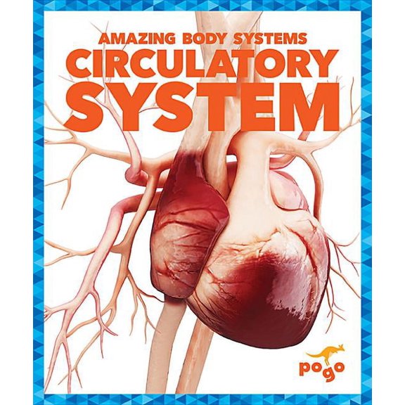 Amazing Body Systems: Circulatory System (Hardcover)