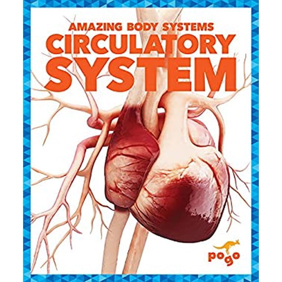 Pre-Owned Circulatory System 9781620315576 Used