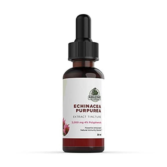 Amazing Botanicals Echinacea Purpurea Extract Tincture - 3,000mg Herbal Liquid Supplement Extract for Immune System Support - High Strength Formula with Natural Antioxidant for Overall Wellbeing