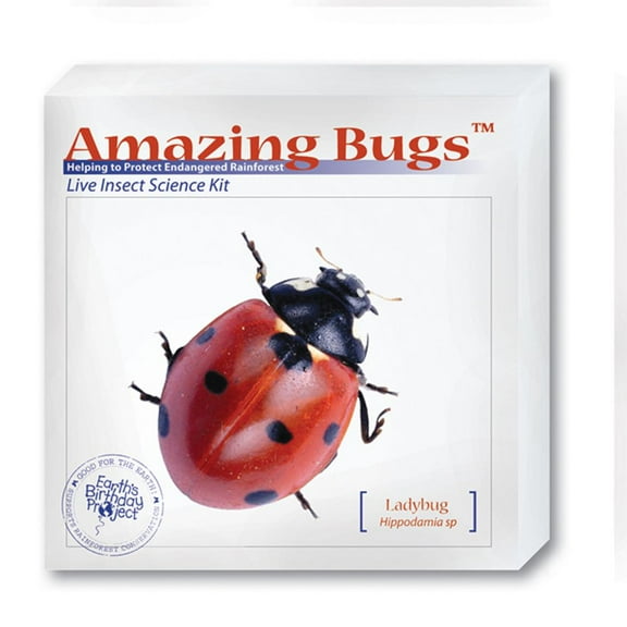 Amazing Bugs Ladybug Hippodamia SP Kit with Voucher