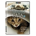 thumbnail image 1 of Amazing Cats (DVD), 1 of 1