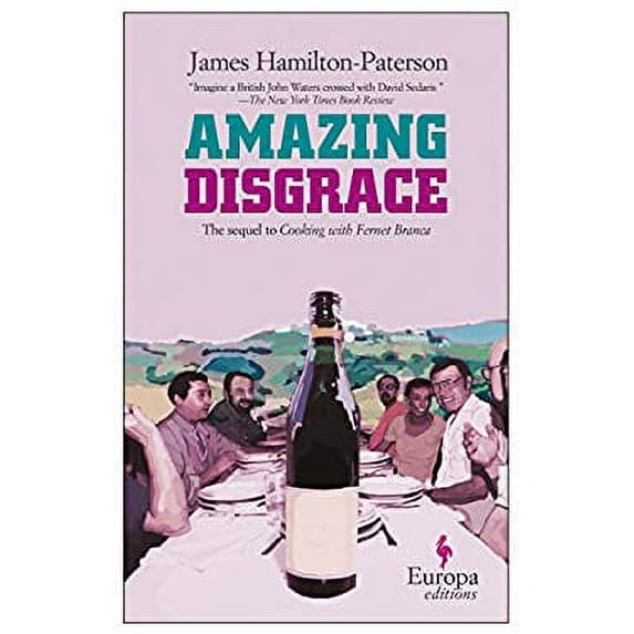 Pre-Owned Amazing Disgrace (Paperback) 1933372192 9781933372198