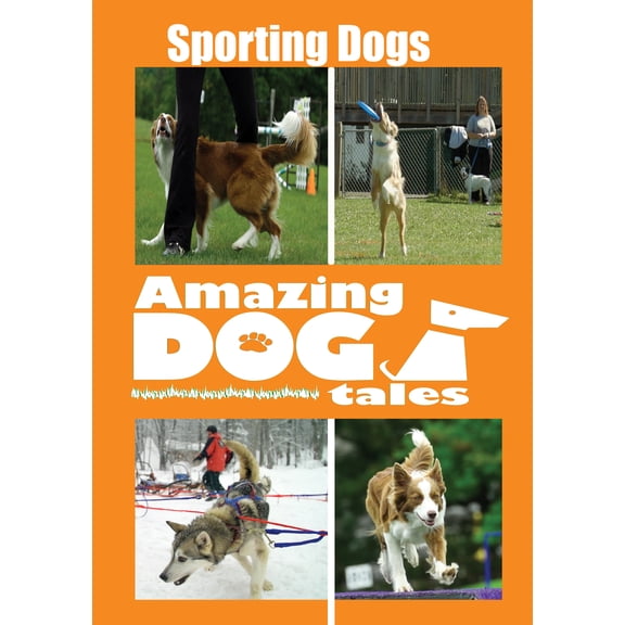 Amazing Dog Tales - Sporting Dogs