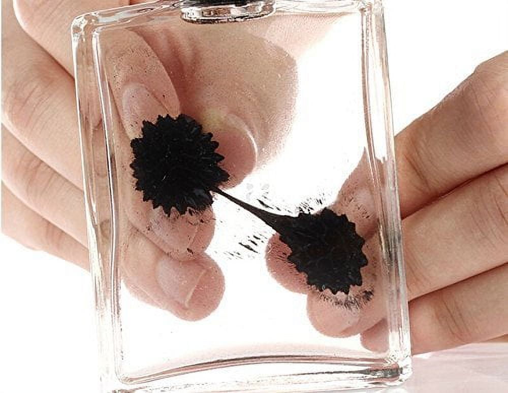 Amazing Ferrofluid Magnetic Display In a Bottle, Ferrofluid Magnetic Liquid  Display Desk Toy, Magnetism Science Kits
