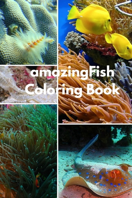 Amazing Fish Coloring Book: For Kids Ages 2-6 Sea Animals Ocean Creatures Great and small fish, and big undersea Adventu, (Paperback)