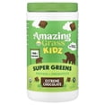 thumbnail image 1 of Amazing Grass Kidz Protein and Probiotics Shake Mix, Extreme Chocolate, 15 Servings, 1 of 4