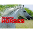 thumbnail image 1 of Pre-Owned Amazing Horses (Hardcover) 1435142748 9781435142749, 1 of 1