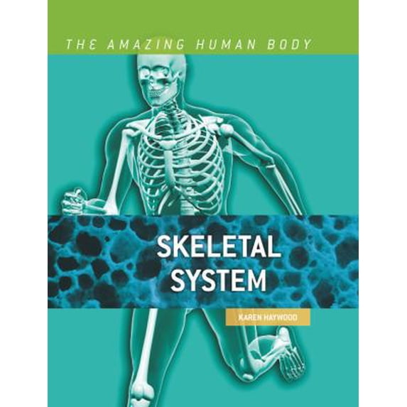 Pre-Owned Skeletal System (Library Binding) 0761430563 9780761430568