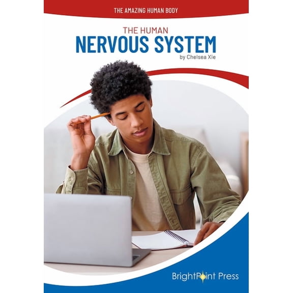 Amazing Human Body The Human Nervous System, (Hardcover)