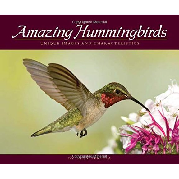 Pre-Owned Amazing Hummingbirds: Unique Images and Characteristics (Paperback) 1591932467 9781591932468