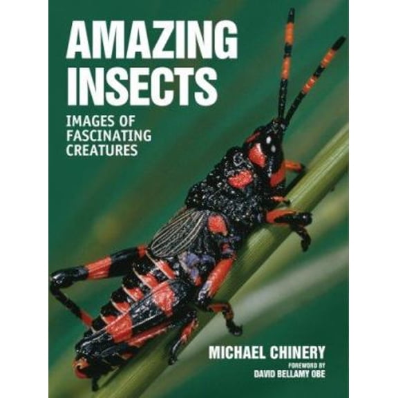 Pre-Owned Amazing Insects: Images of Fascinating Creatures (Paperback) 1554073529 9781554073528