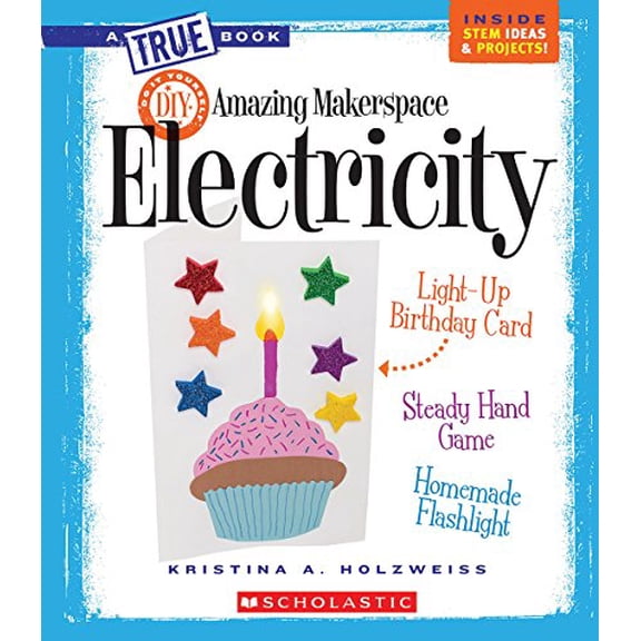 Pre-Owned Amazing Makerspace DIY with Electricity (a True Book: Makerspace Projects) (Paperback) 0531240967 9780531240960