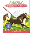 thumbnail image 1 of Pre-Owned Amazing Painting by Numbers: With 30 Beautiful Images to Complete. Includes Guide to Mixing Paints (Arcturus Painting by Numbers) Paperback, 1 of 1