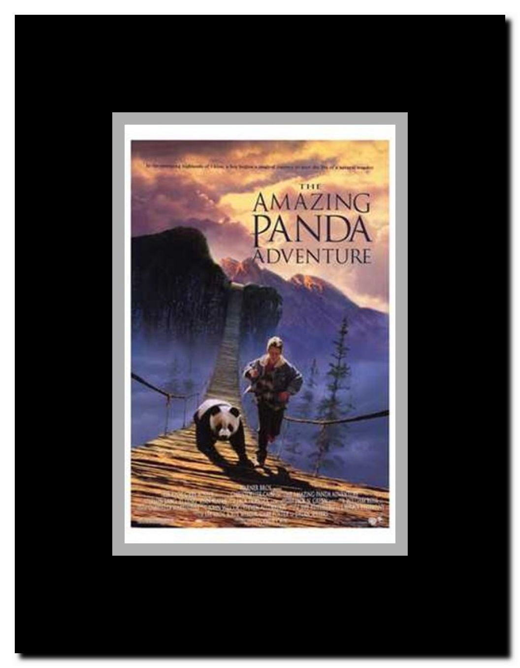Amazing Panda Adventure Framed Movie Poster