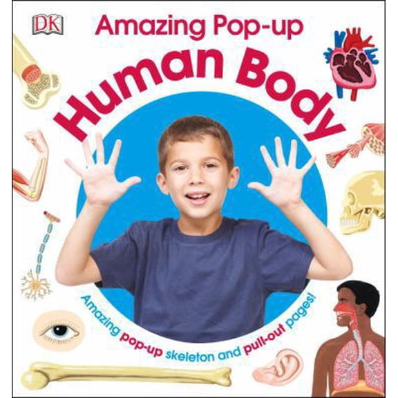 Pre-Owned Amazing Pop-Up Human Body: Amazing Pop-Up Skeleton and Pull-Out Pages! (Hardcover)