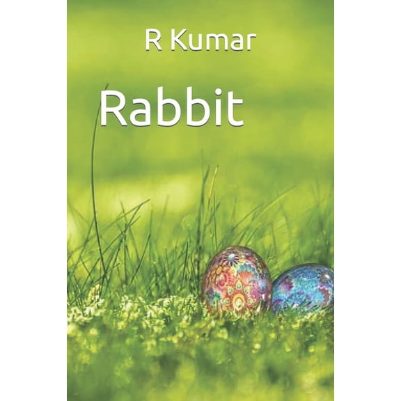 Amazing Rabbit drawing book (Paperback)